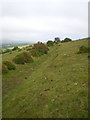 Ancient trackway on Foel Drygarn