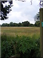 Footpath to Bedfield Little Green