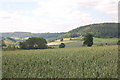 Cereal field near Bollitree Castle in early June