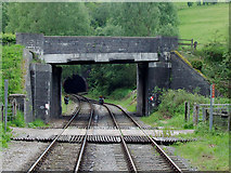 SJ9853 : Railway south of Cheddleton Tunnel, Staffordshire by Roger  D Kidd