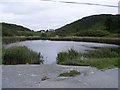 W1228 : Pond north of the car park at Tragumna - Ardgilla, Drishanemore and Bawnlahan Townlands by Mac McCarron