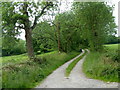 Track from Walton Back Lane