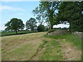 Field footpath towards Westwick Lane