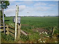 Looking northwest toward the fields of the Burnside of Newhall