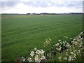 Fields northwest of Quoscies