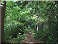 Footpath near Frensham Manor