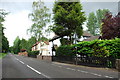 Looking up Penkridge Bank, Cannock Chase