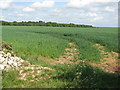 Arable field north of Aldsworth