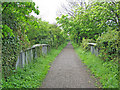 Railway bridge near Spring