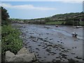 Frogmore at the head of Frogmore Creek