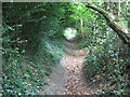 Footpath, Selborne