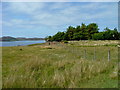 Ruin above Port Mhaire