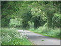 Road near Swerford