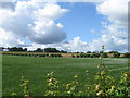 Fields south of A31