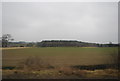 Farmland, Littlemill Farm