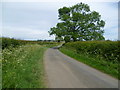 Looking along Moles Lane towards Seaton