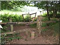 Footbridge on Exe Valley Way