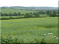 Fields near Barton Firs