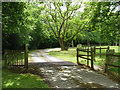 Cattle grid on drive to Old House