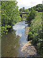 SE7485 : River Seven, downstream from the footbridge by Pauline E