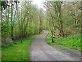 The Wyre Way, Cleveley Bridge