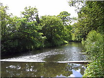 SD7920 : River Irwell at Irwell Vale, Rossendale, Lancashire by Robert Wade