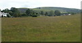 A view from Blaendare Farm Lane, Upper Race, Pontypool