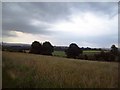 Looking Towards Woodhouse from Grange Lane