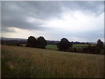 SK4185 : Looking Towards Woodhouse from Grange Lane by Jonathan Clitheroe