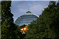 Domed glass roof, Palm Court, Alexandra Palace