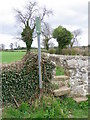 Footpath near Gainford