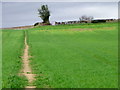 Footpath near Gainford