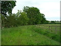 Thackadale Lane (track) heading south