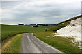 2011 : Small chalk quarry on the road from Claypit Hill