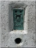 SD9129 : Bench mark on the triangulation pillar on Hoof Stones Height by Humphrey Bolton