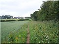 Footpath Near Walton-On-The-Hill