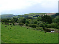The Wye Valley above Llangurig