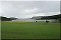 Farmland above Munlochy Bay