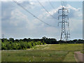 Ride under power line, Pages Wood