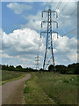 Pylons, Pages Wood