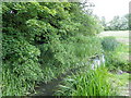 Stream near Charlton Manor