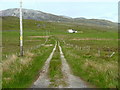 NC2414 : Track to Lyne Cottage by Dave Fergusson