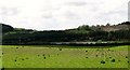 View across farmland towards Lough Money