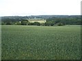 View From Footpath Near Walton-On-The-Hill