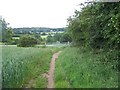 Footpath To Brocton