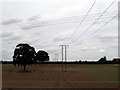 Power Lines near Longhills Hall