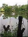 Leech Pond, Lower Beeding