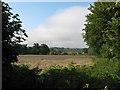 Fields near Crabtree