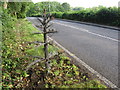 Wire tree beside the A281 in Lower Beeding