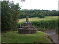 The Butter Cross, Dunster